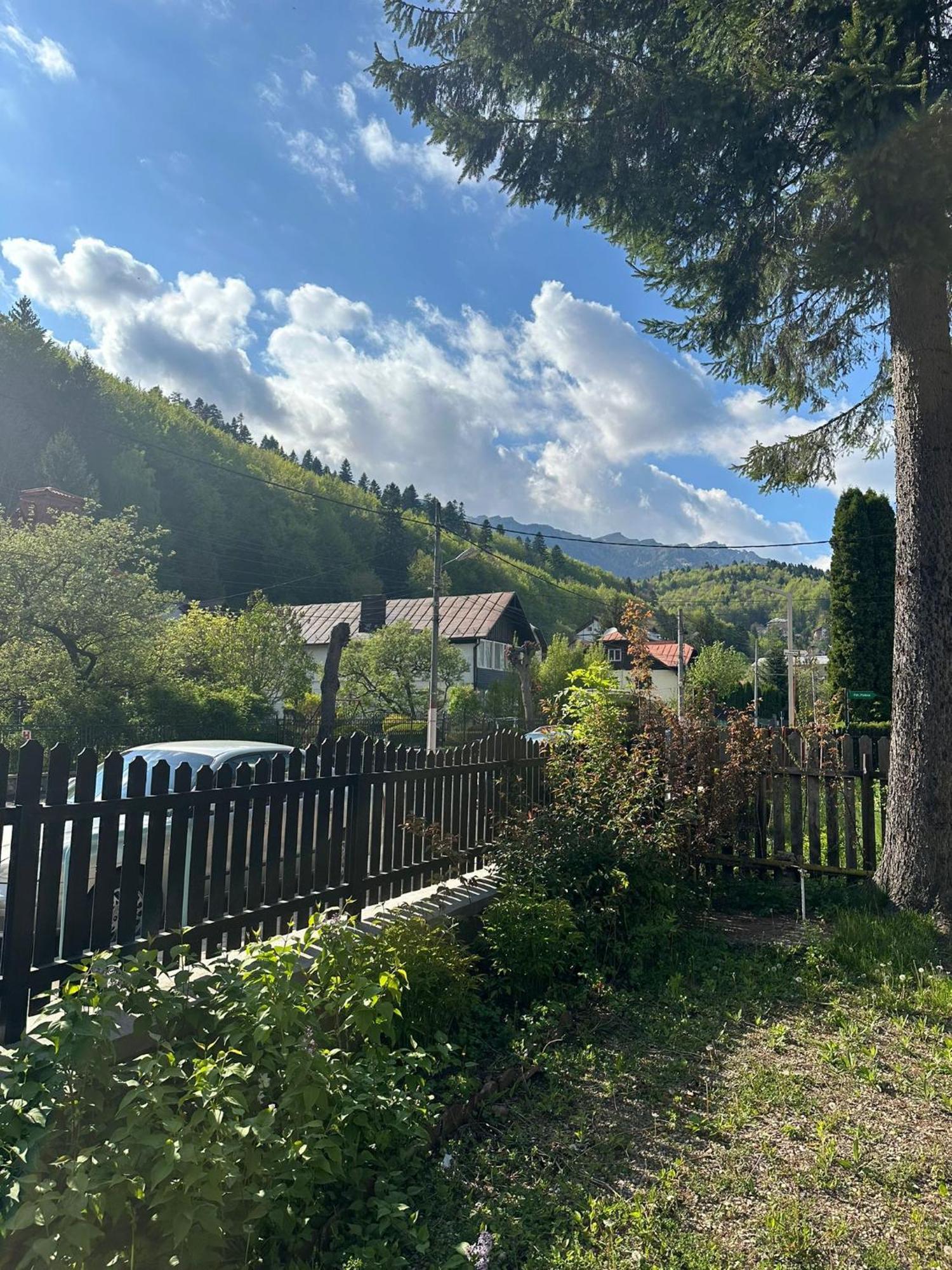 Rapsodia Sinaia Bed & Breakfast Exterior photo