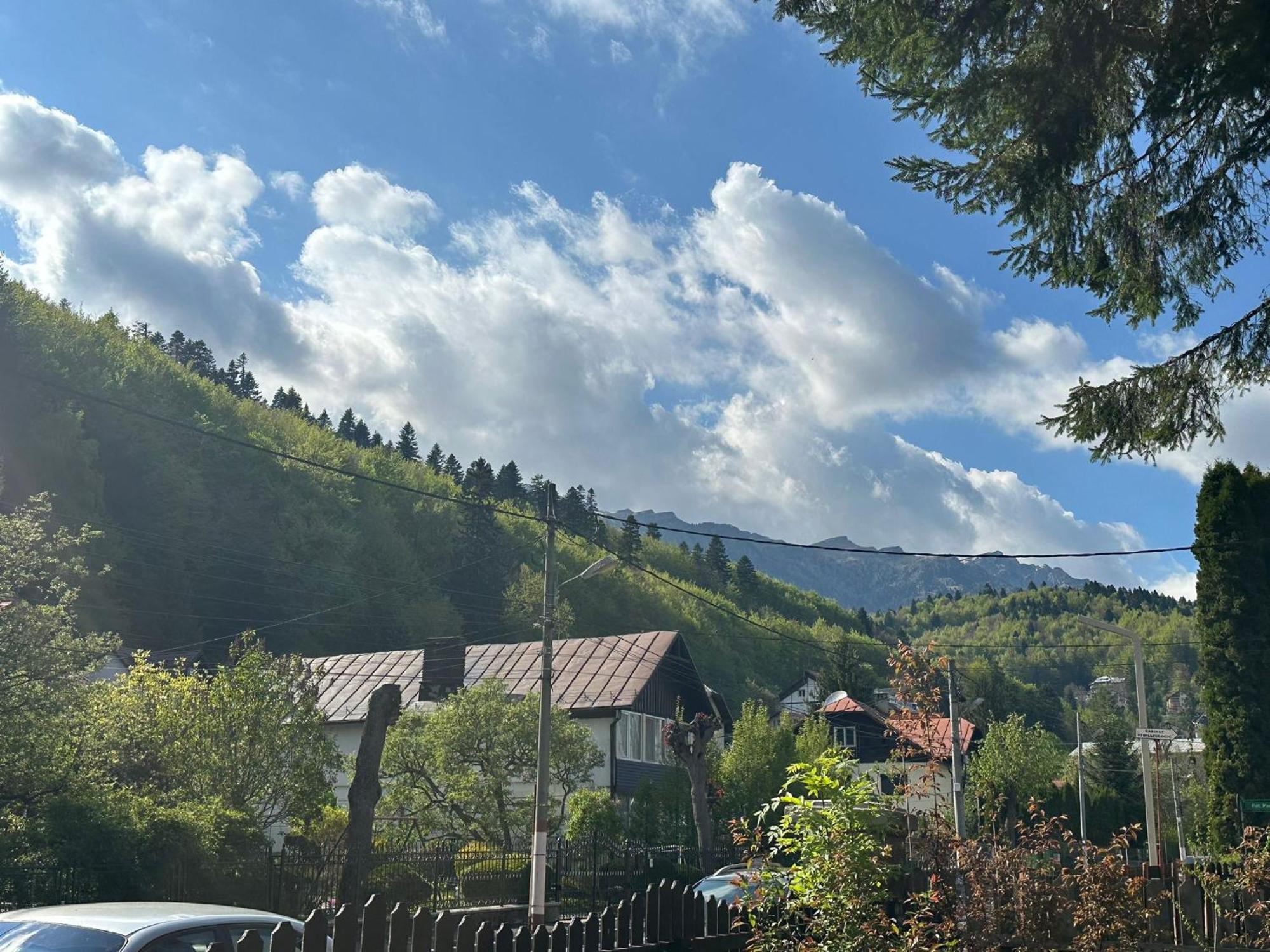 Rapsodia Sinaia Bed & Breakfast Exterior photo