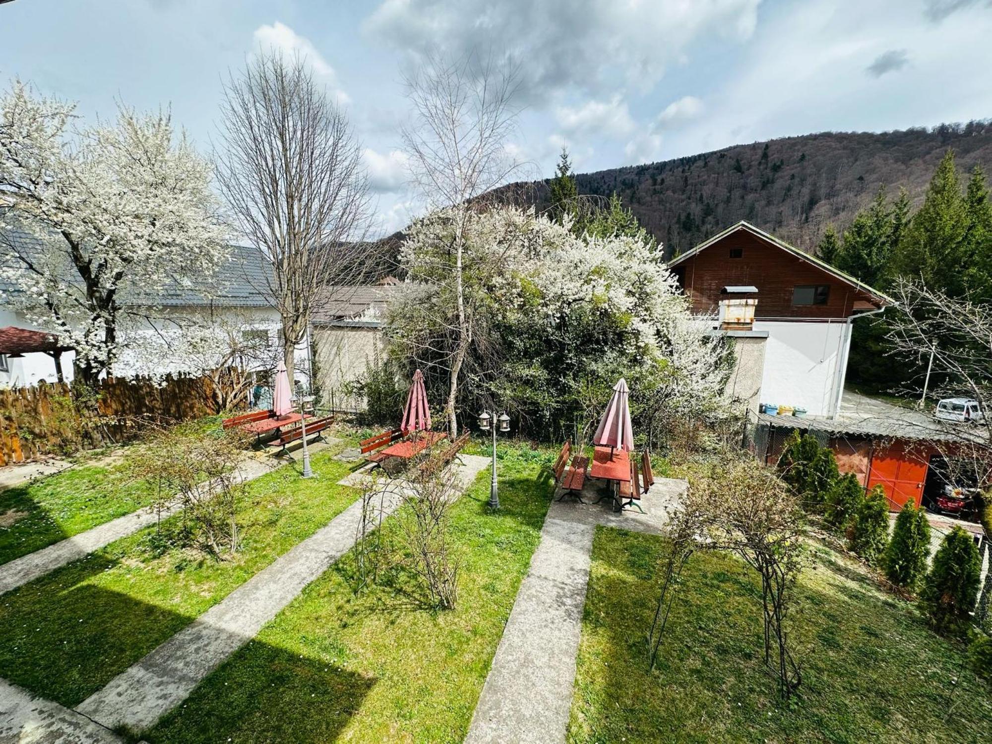 Rapsodia Sinaia Bed & Breakfast Exterior photo